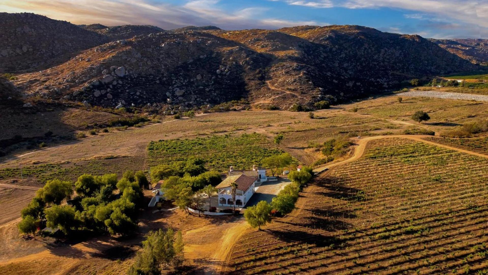 Casa Luna Vinedo Valle de Guadalupe Kültér fotó